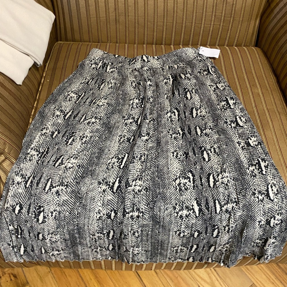 Women’s dress skirt